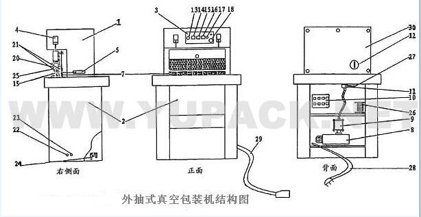 外抽式真空包装机细节图